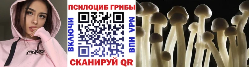 Псилоцибиновые грибы мухоморы  Елец 